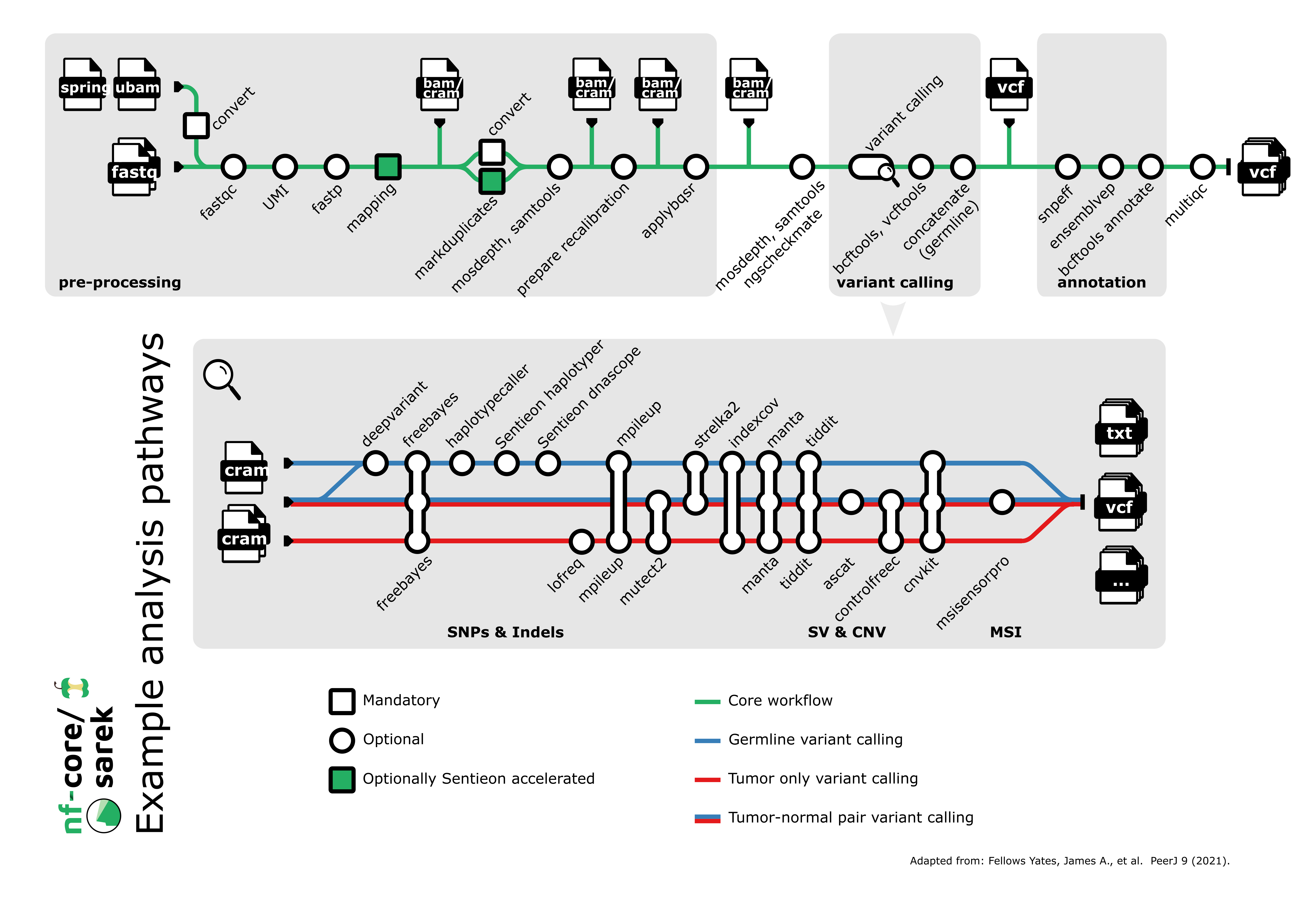 The structure of the nf-core/sarek pipeline